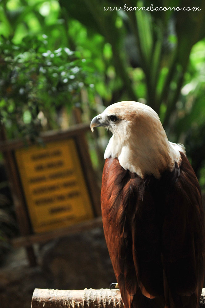 Tyler\'s Dedication and 1st Birthday-475