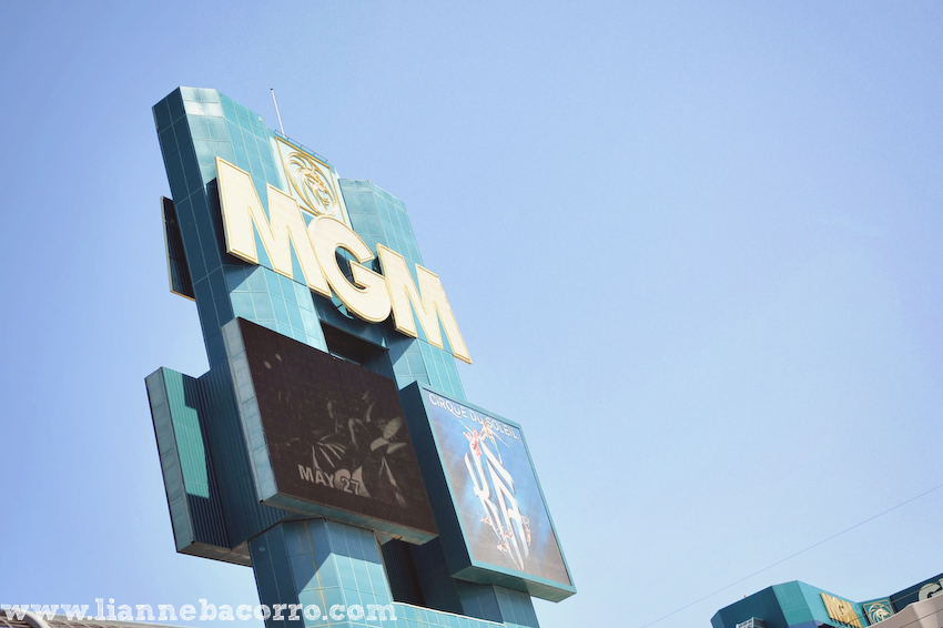 Destination Travel Photographer Lianne Bacorro-54