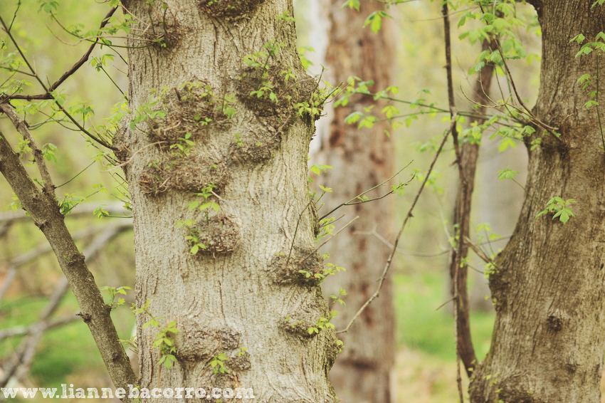 Maryland Photographer Lianne Bacorro-14