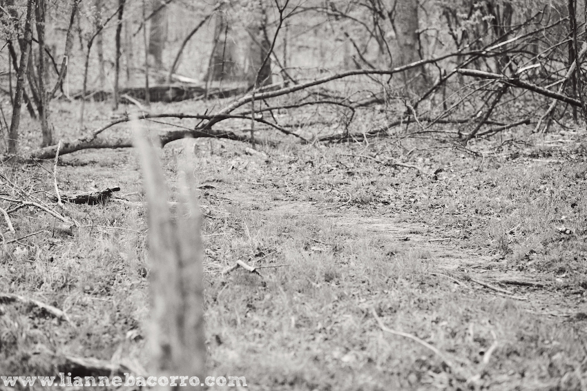 Maryland Photographer Lianne Bacorro-16