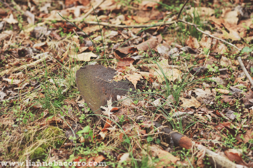 Maryland Photographer Lianne Bacorro-19