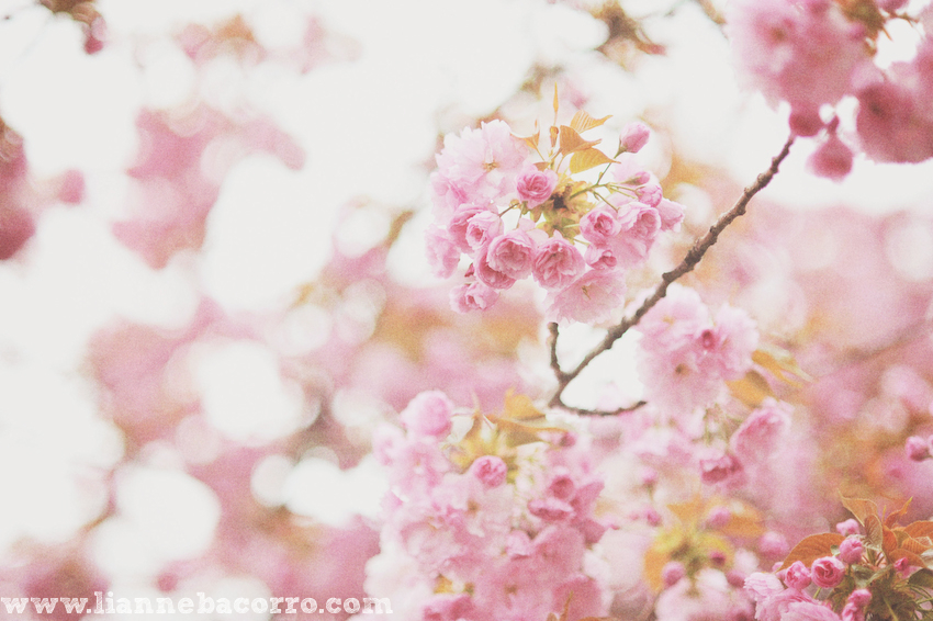 Maryland Photographer Lianne Bacorro-29