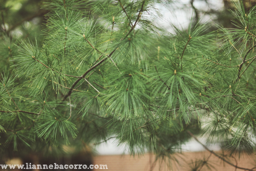 Maryland Photographer Lianne Bacorro-3