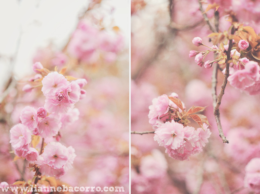 Maryland Photographer Lianne Bacorro-42