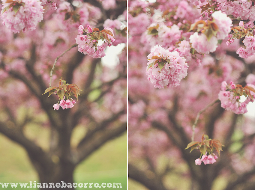 Maryland Photographer Lianne Bacorro-43