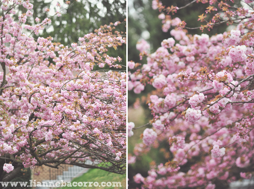 Maryland Photographer Lianne Bacorro-44