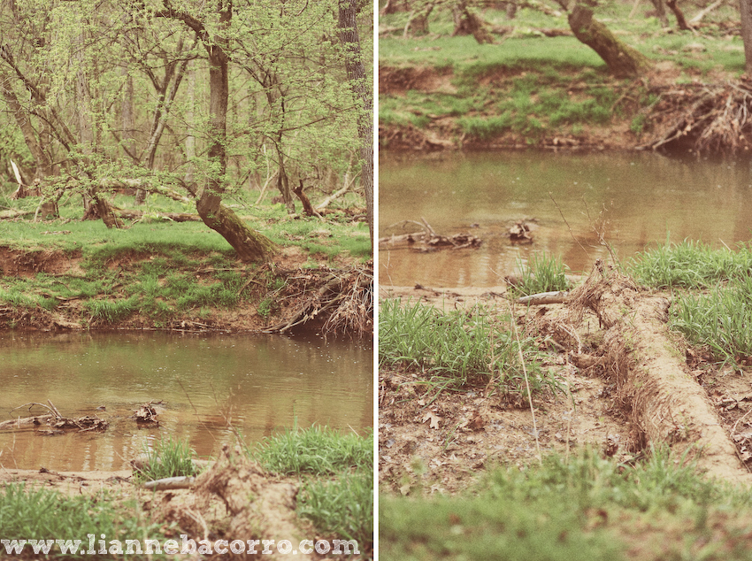 Maryland Photographer Lianne Bacorro-45