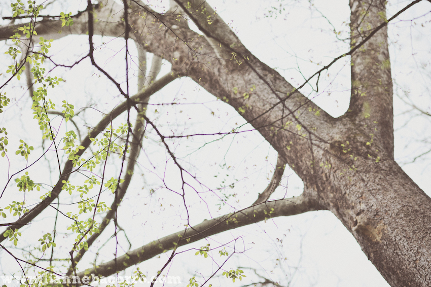 Maryland Photographer Lianne Bacorro-8