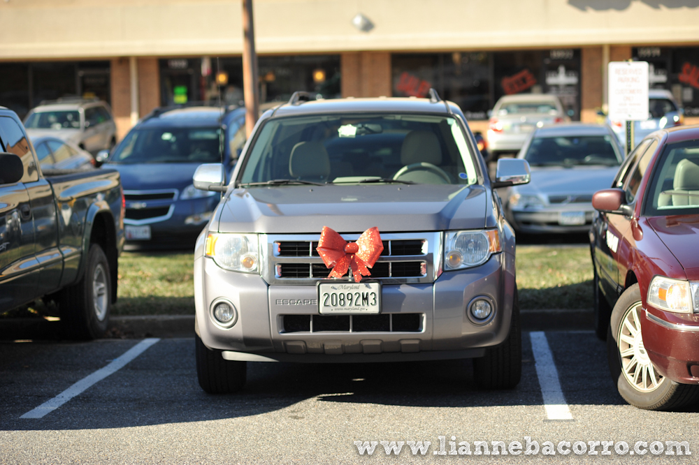 2013 Christmas in Maryland - Lianne Bacorro Photography-7