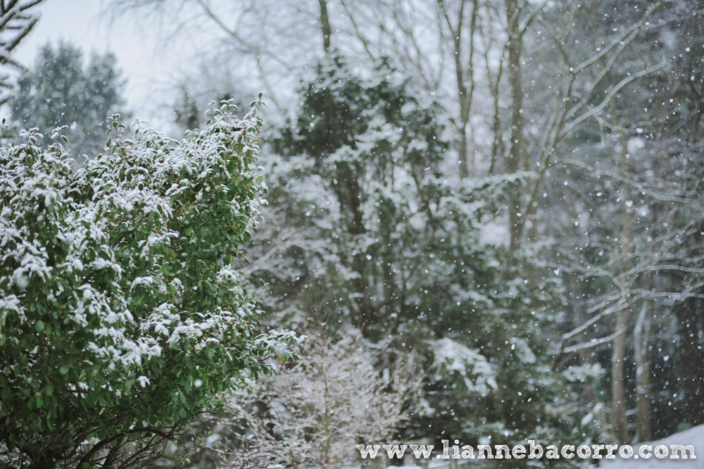Snow in Maryland - family portraits - Lianne Bacorro Photography-24