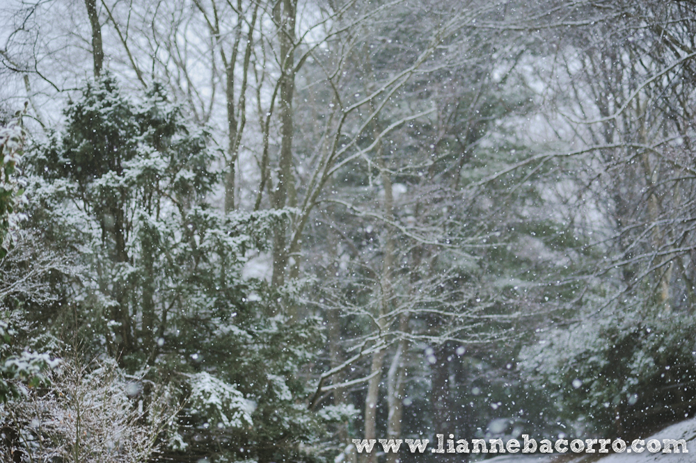 Snow in Maryland - family portraits - Lianne Bacorro Photography-25