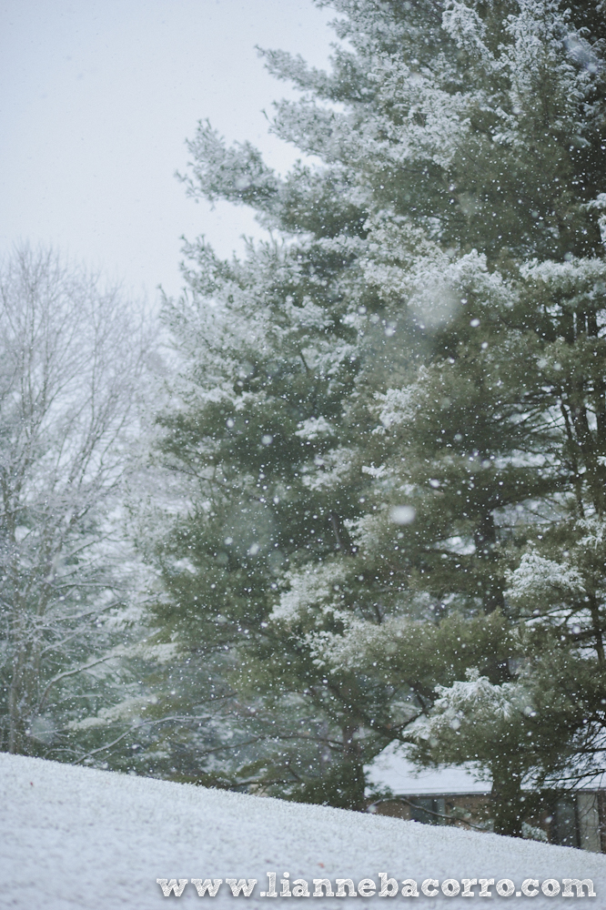 Snow in Maryland - family portraits - Lianne Bacorro Photography-35