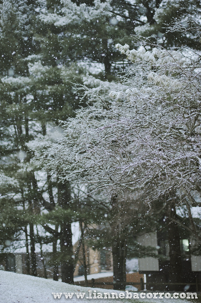 Snow in Maryland - family portraits - Lianne Bacorro Photography-36