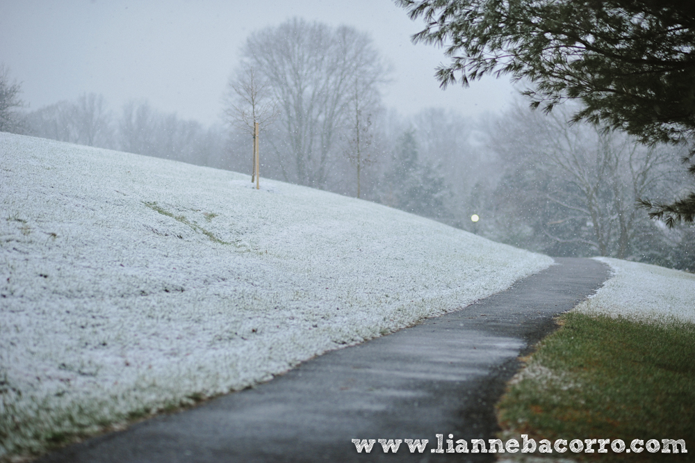 Snow in Maryland - family portraits - Lianne Bacorro Photography-60