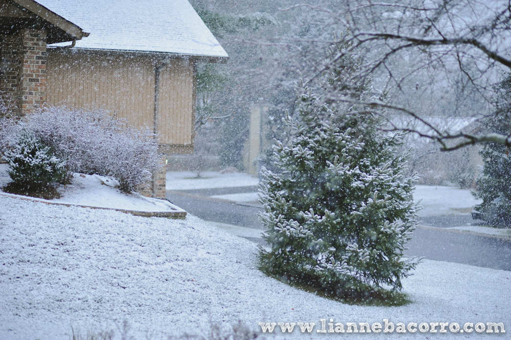Snow in Maryland - family portraits - Lianne Bacorro Photography-62