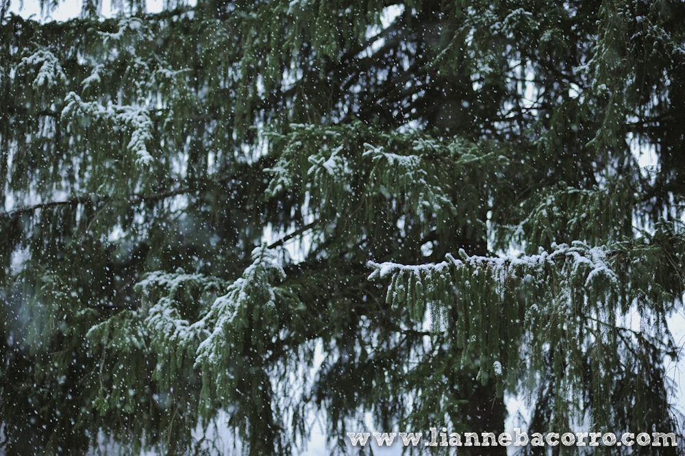 Snow in Maryland - family portraits - Lianne Bacorro Photography-63