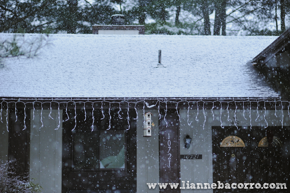 Snow in Maryland - family portraits - Lianne Bacorro Photography-65