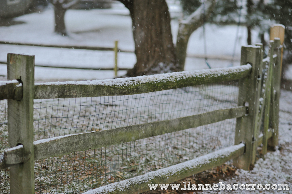 Snow in Maryland - family portraits - Lianne Bacorro Photography-71