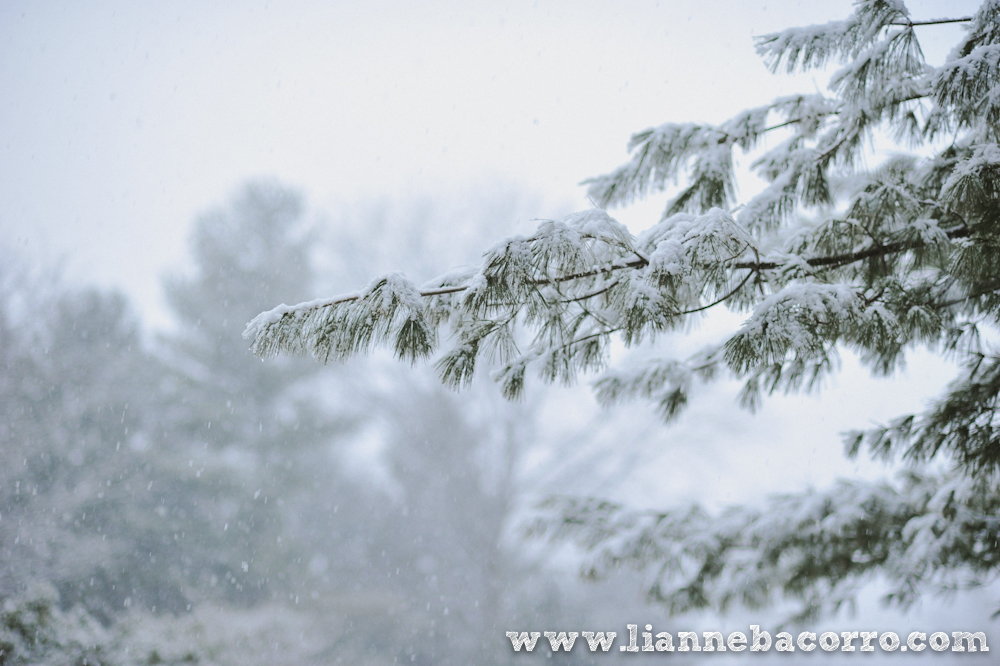 Snow in Maryland - family portraits - Lianne Bacorro Photography-73