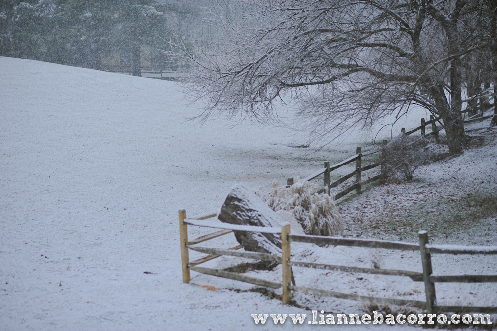Snow in Maryland - family portraits - Lianne Bacorro Photography-74