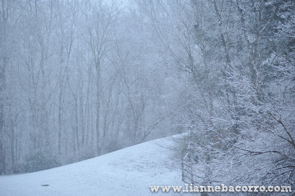 Snow in Maryland - family portraits - Lianne Bacorro Photography-78