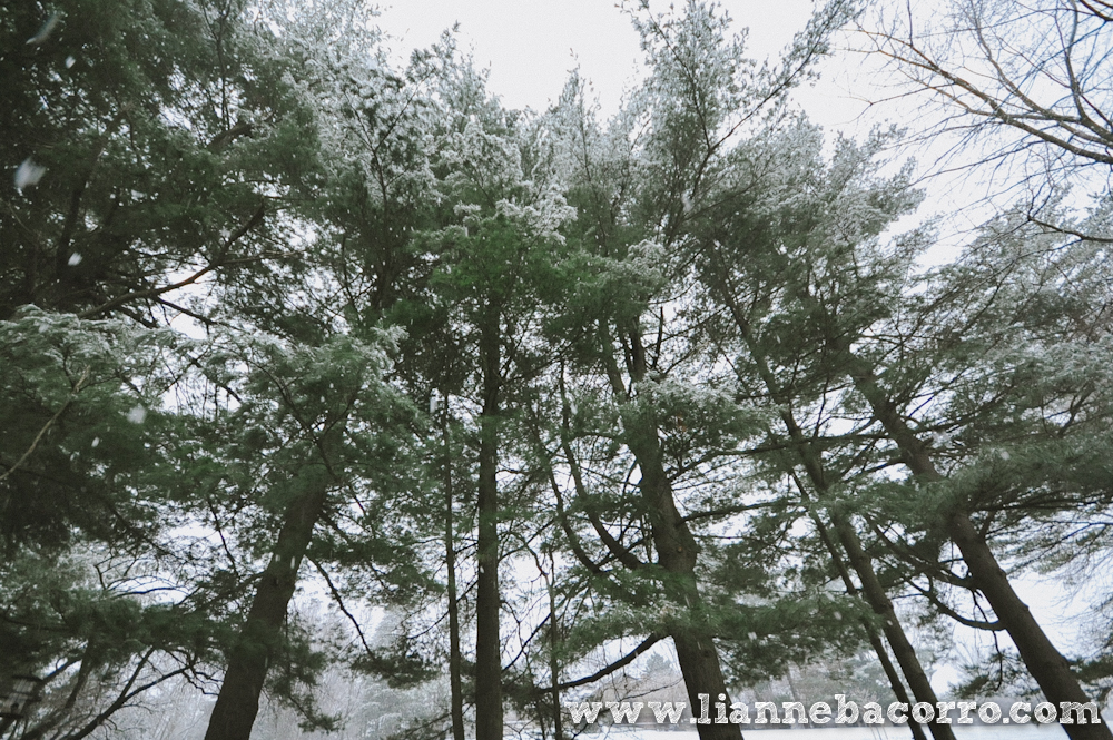 Snow in Maryland - family portraits - Lianne Bacorro Photography-8
