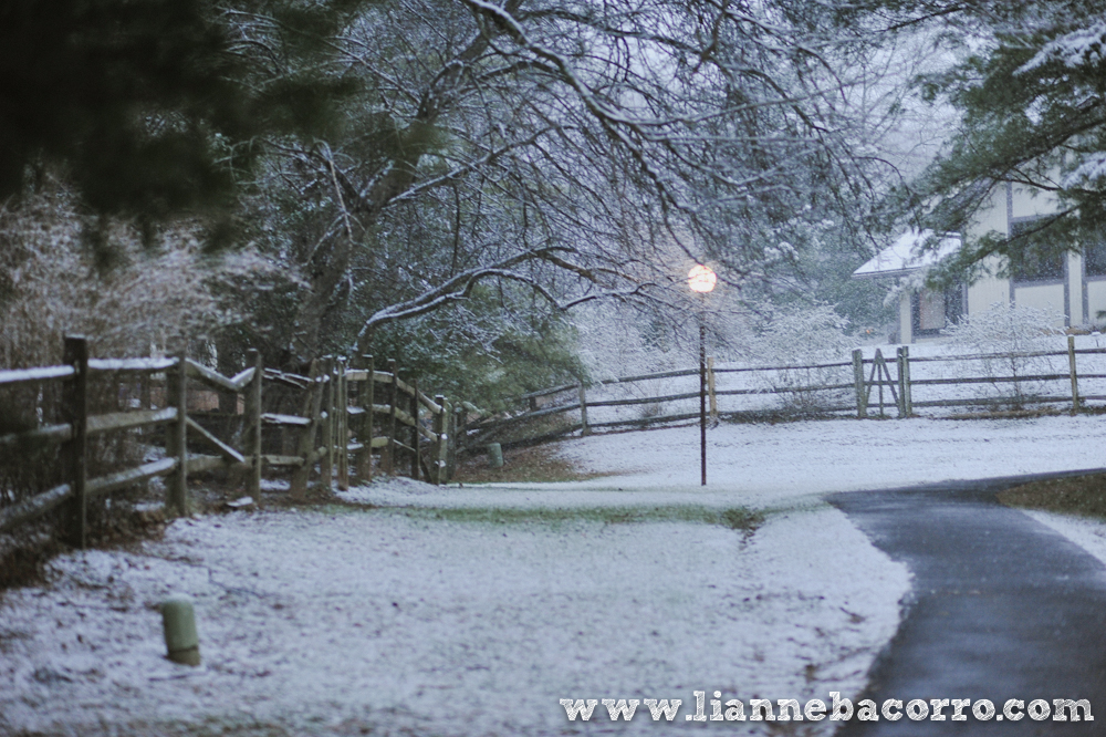 Snow in Maryland - family portraits - Lianne Bacorro Photography-83