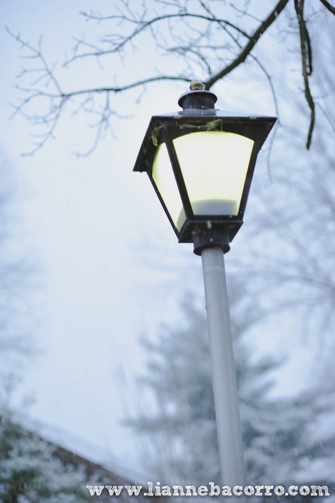 Snow in Maryland - family portraits - Lianne Bacorro Photography-84