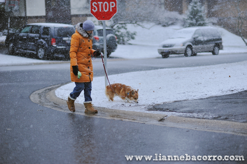 Snow in Maryland - family portraits - Lianne Bacorro Photography-87