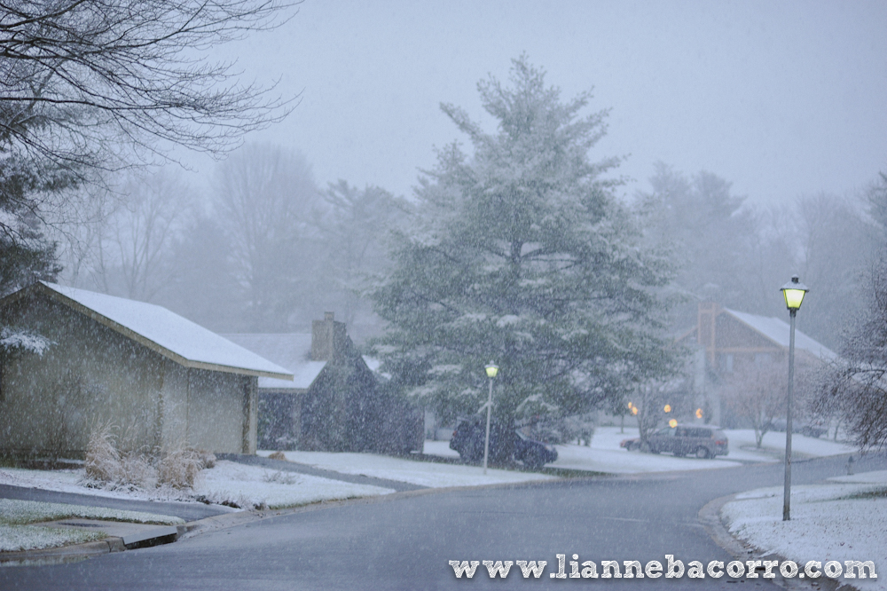 Snow in Maryland - family portraits - Lianne Bacorro Photography-88