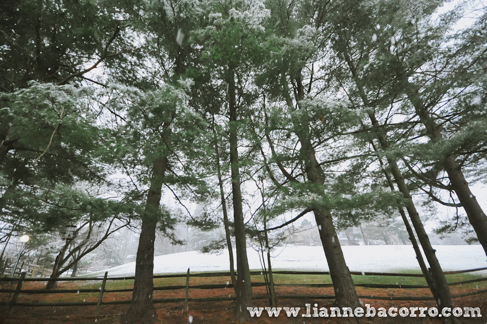 Snow in Maryland - family portraits - Lianne Bacorro Photography-9