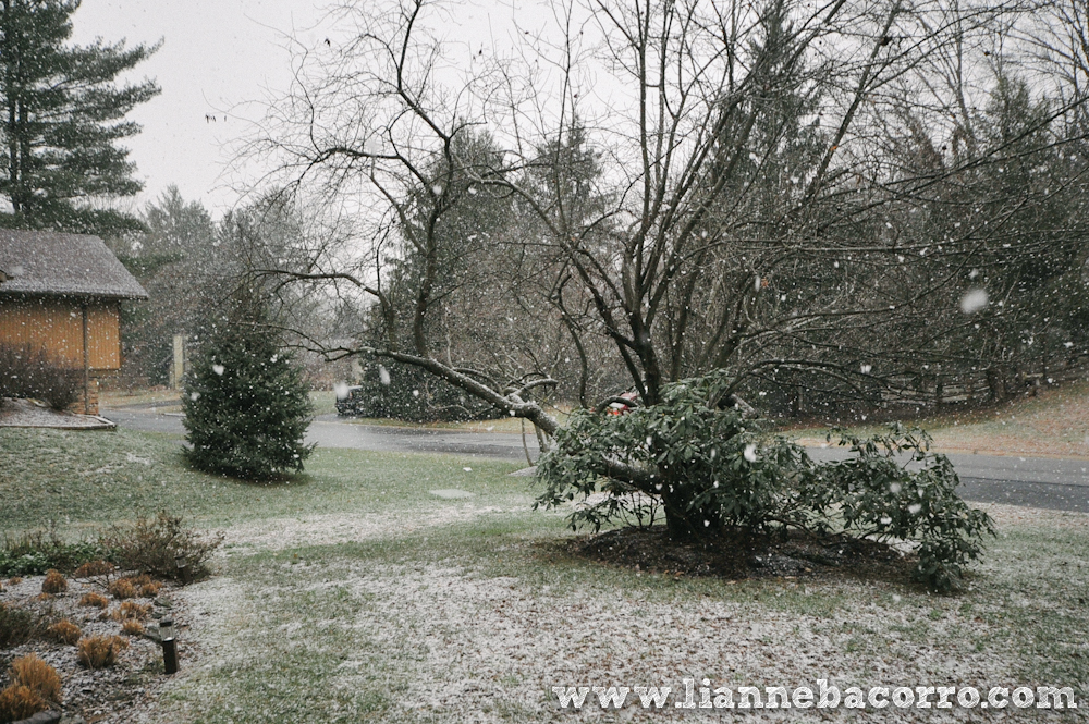 Snow in Maryland - family portraits - Lianne Bacorro Photography