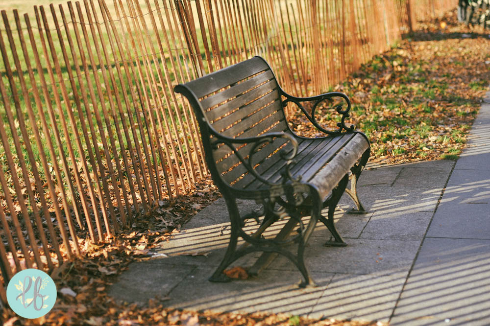 Washington Christmas - Lianne Bacorro Travel Photography-51