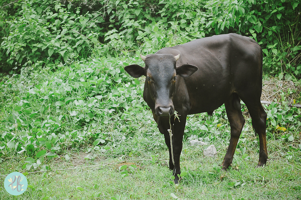 La Union - Lianne Bacorro Lifestyle and Travel Photography-46