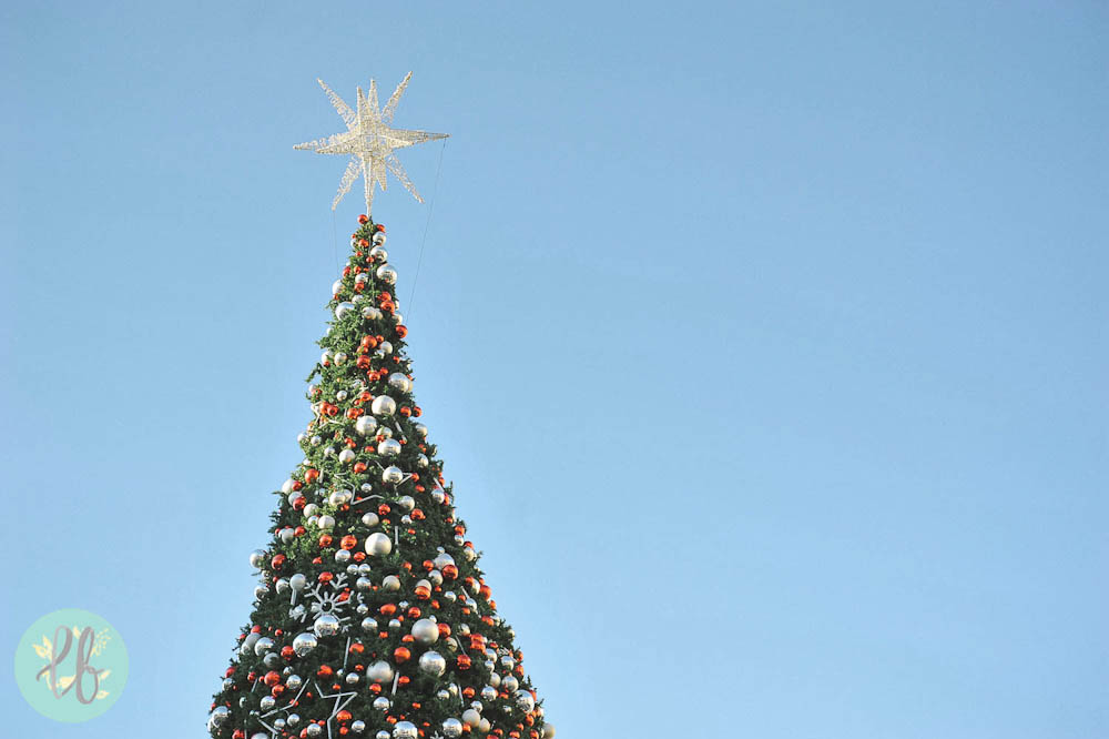 National Harbor Maryland - Lianne Bacorro Travel Photography-12