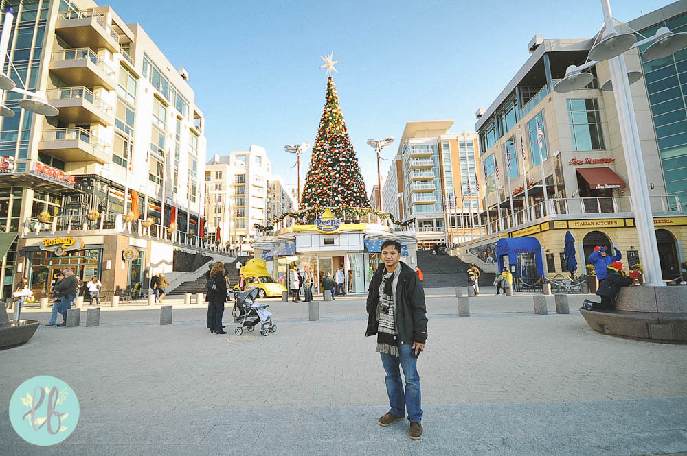 National Harbor Maryland - Lianne Bacorro Travel Photography-17