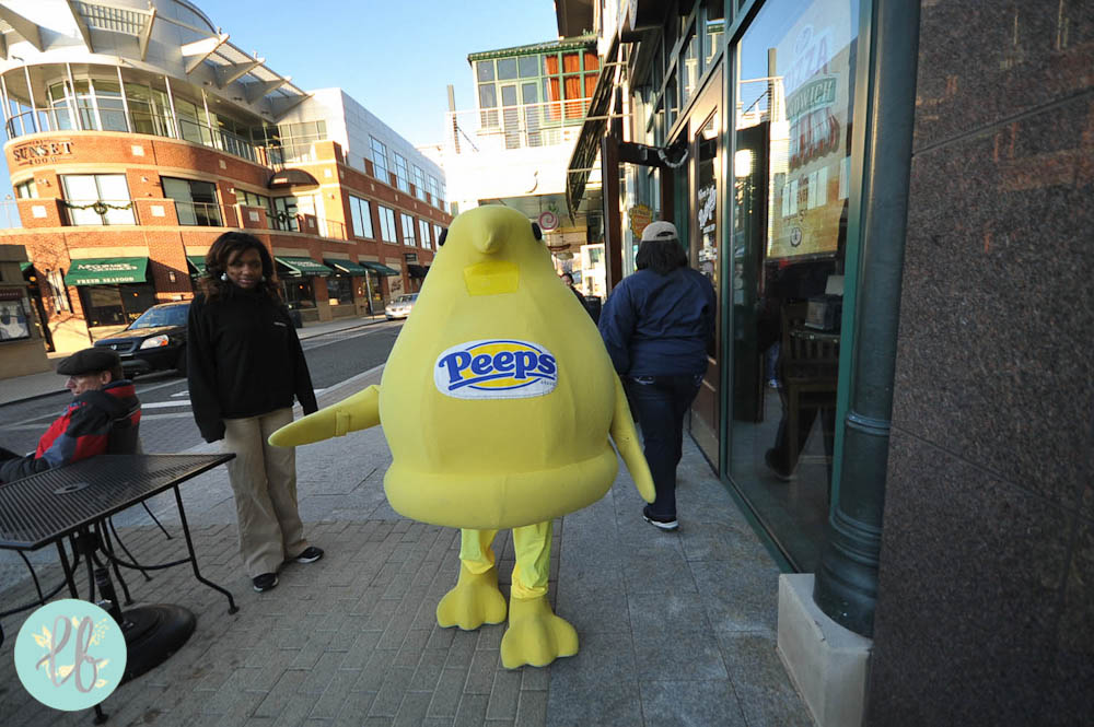 National Harbor Maryland - Lianne Bacorro Travel Photography-43