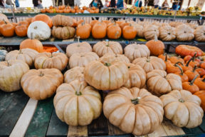 fall autumn circleville family photographer philippines