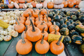 fall autumn circleville family photographer philippines