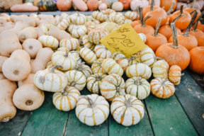 fall autumn circleville family photographer philippines