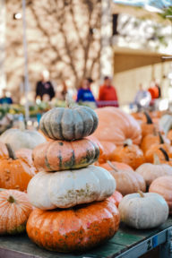 fall autumn circleville family photographer philippines