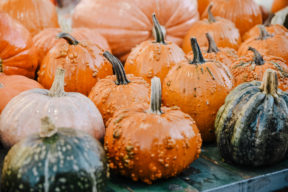 fall autumn circleville family photographer philippines