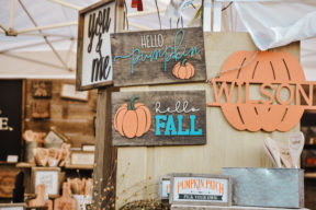 fall autumn circleville family photographer philippines