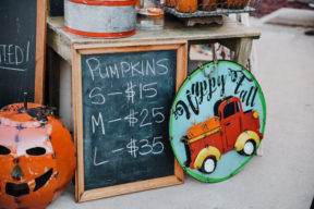 fall autumn circleville family photographer philippines
