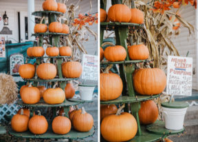 fall autumn circleville family photographer philippines