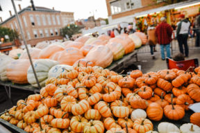 fall autumn circleville family photographer philippines