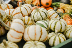 fall autumn circleville family photographer philippines